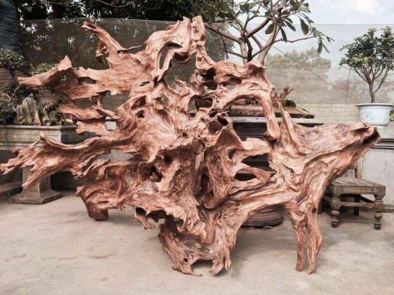 Tìm hiểu về gỗ lũa – sụn Ngọc Am và ý nghĩa trong cuộc sống