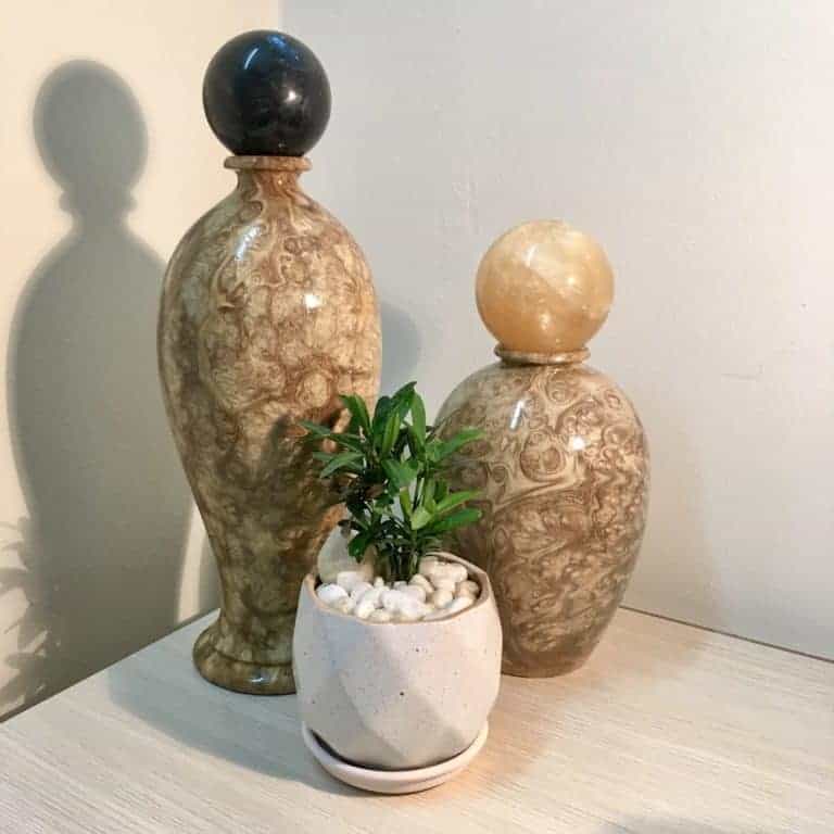 Như thế nào là Gỗ Nu và cách phân biệt chúng