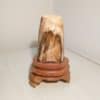 Trụ gỗ hóa thạch cao 15cm - Hình ảnh 3