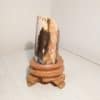 Trụ gỗ hóa thạch cao 15cm - Hình ảnh 2