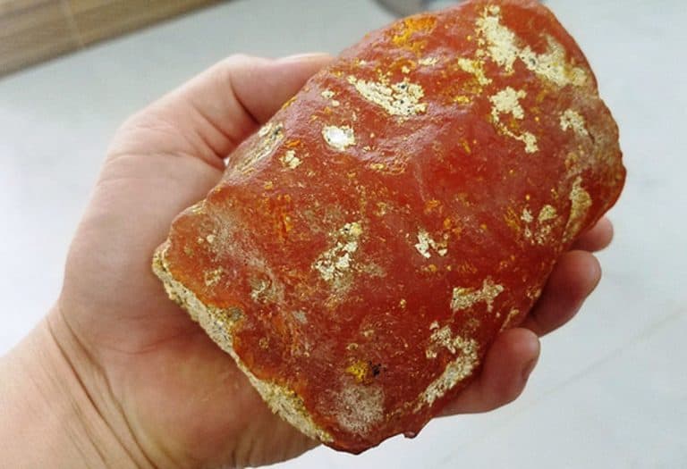 Long diên hương là gì và vì sao đắt giá?