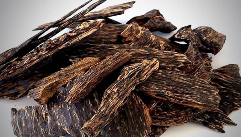 Tìm hiểu về gỗ trầm hương và ứng dụng trong phong thủy đời sống
