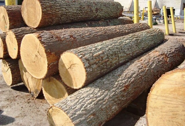 Tìm hiểu chi tiết gỗ cây Bằng Lăng trong nội thất đời sống
