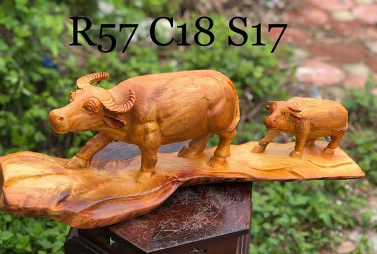 Hiểu được vận mệnh Tuổi Hợi heo, tương hợp và xung khắc qua Tử Vi
